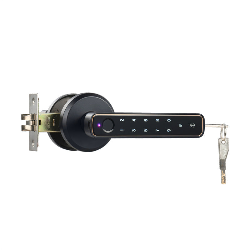 Smart Fingerprint Locks